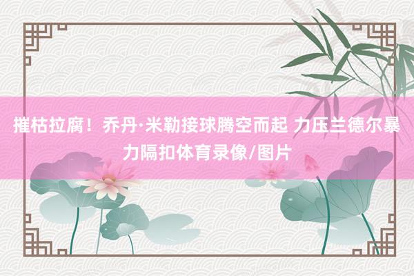 摧枯拉腐！乔丹·米勒接球腾空而起 力压兰德尔暴力隔扣体育录像/图片