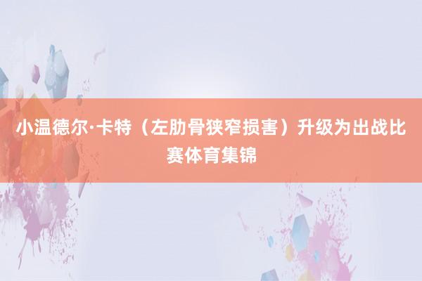 小温德尔·卡特（左肋骨狭窄损害）升级为出战比赛体育集锦