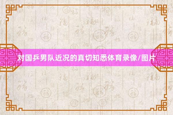 对国乒男队近况的真切知悉体育录像/图片