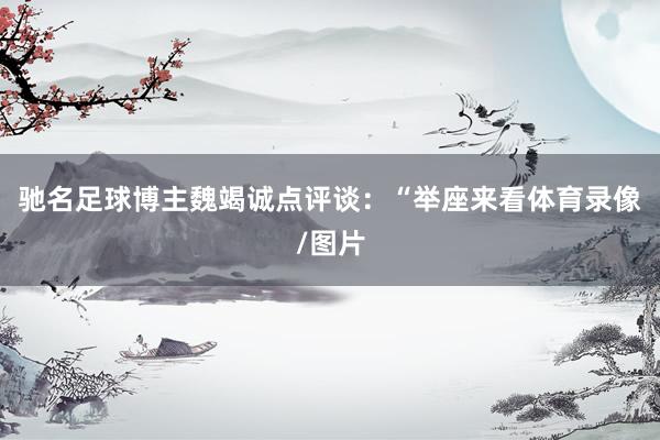 驰名足球博主魏竭诚点评谈：“举座来看体育录像/图片