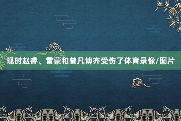 现时赵睿、雷蒙和曾凡博齐受伤了体育录像/图片