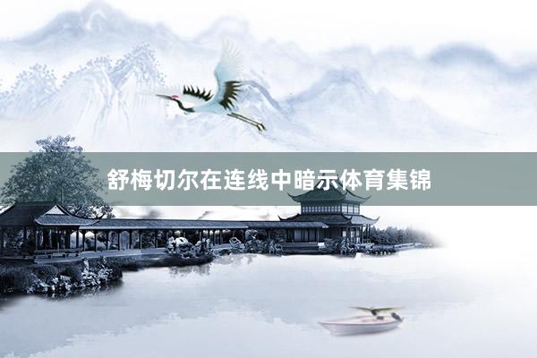 舒梅切尔在连线中暗示体育集锦