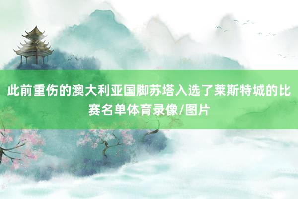 此前重伤的澳大利亚国脚苏塔入选了莱斯特城的比赛名单体育录像/图片