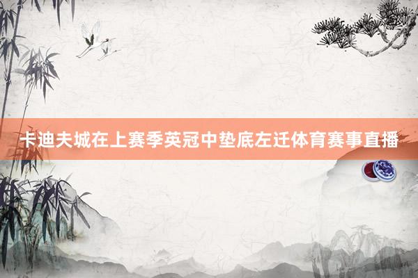 卡迪夫城在上赛季英冠中垫底左迁体育赛事直播