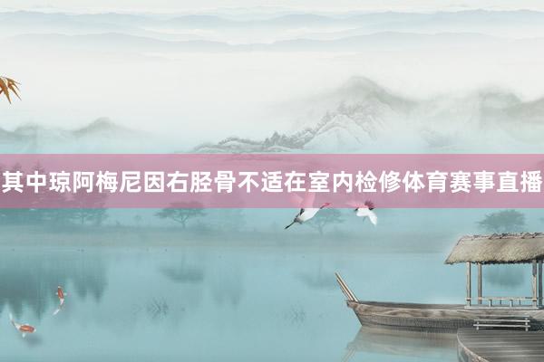 其中琼阿梅尼因右胫骨不适在室内检修体育赛事直播