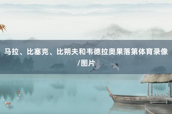 马拉、比塞克、比朔夫和韦德拉奥果落第体育录像/图片