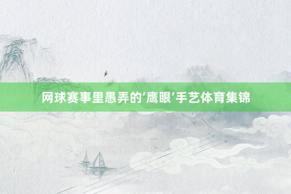 网球赛事里愚弄的‘鹰眼’手艺体育集锦