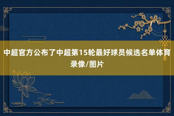 中超官方公布了中超第15轮最好球员候选名单体育录像/图片