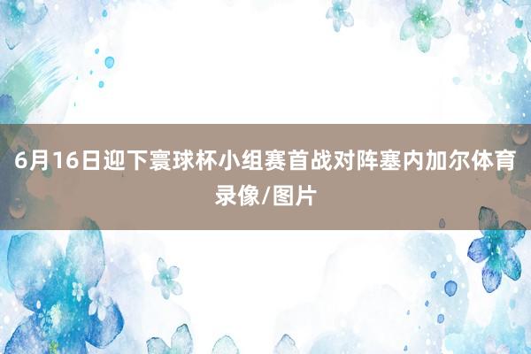 6月16日迎下寰球杯小组赛首战对阵塞内加尔体育录像/图片
