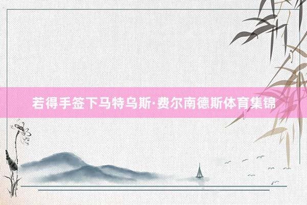 若得手签下马特乌斯·费尔南德斯体育集锦